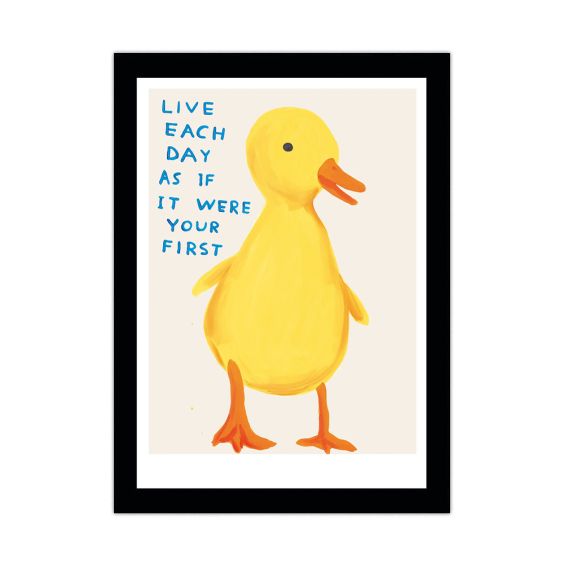 David Shrigley Duckling A5 Postcard Print 