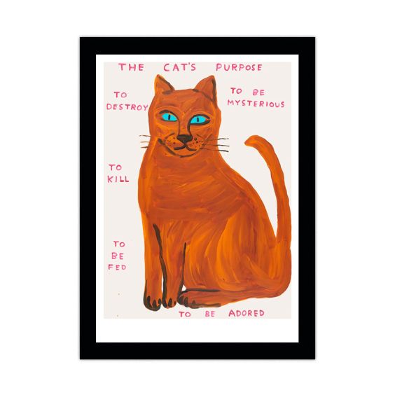 David Shrigley Cat A5 Postcard Print