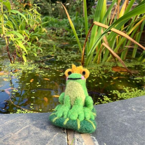 Felt So Good Prince Frog