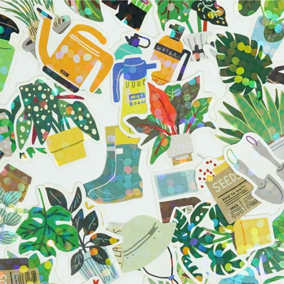 Haco Box of Stickers - Green Market