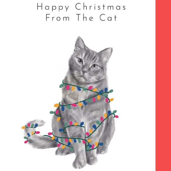 Happy Christmas From The Cat Card