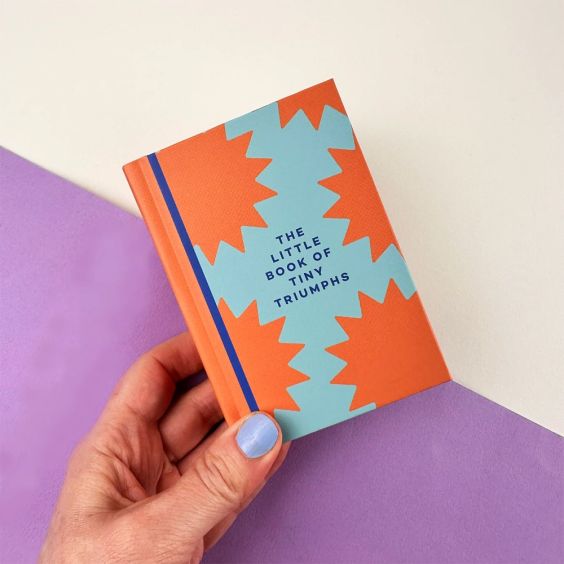 In Real Life Little Book of Tiny Triumphs