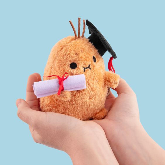 Noodoll Mini Ricespud - Graduation