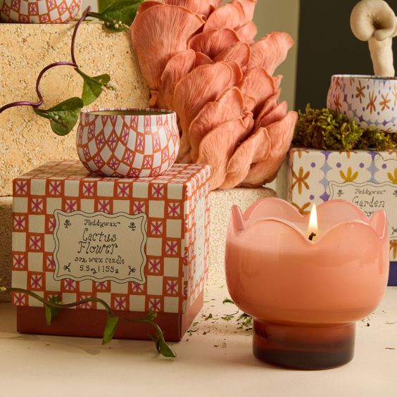Paddywax Tulip Glass Candle - Cactus Flower