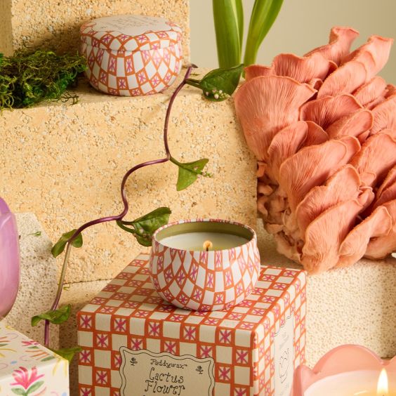 Paddywax Tulip Tin Scented Candle - Cactus Flower