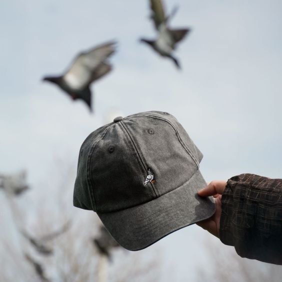 Pigeon Embroidered Cap