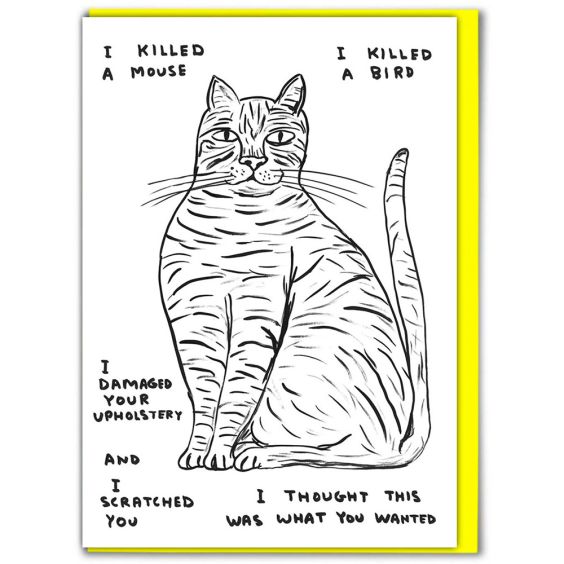 David Shrigley I Killed A Mouse Card