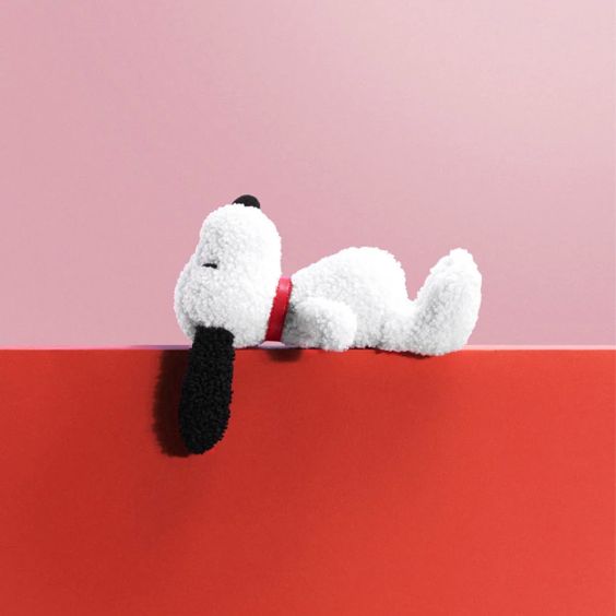 Bon Ton Toys x Peanuts Snoopy Tiny Teddy House Giftbox