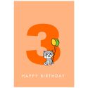 Happy 3rd Birthday - Cat