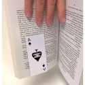 David Shrigley Effing Ace - Magnetic Bookmark