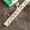 Seeding Ruler & Dibber