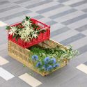 HAY Colour Crate RE