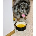 HAY Dog Bowl