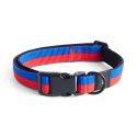 HAY Dog Flat Collar