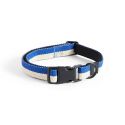 HAY Dog Flat Collar