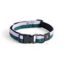 HAY Dog Flat Collar