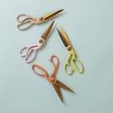 Scissors Lilac - Looking Sharp