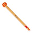 Erasable Lion Pen (Orange)
