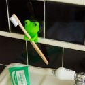Toothbrush Holder, Frog