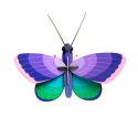 3D Blue Copper Butterfly