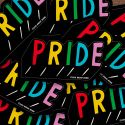 Big Sticker Pride
