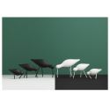 Shorebird - Medium Redshank/White 