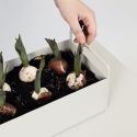 Ferm Living Plant Box, Small