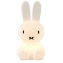 My First Light, Miffy