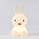 Mr Maria Bundle of Light - Miffy