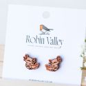 Robin Valley Axolotl Earrings