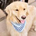 HAY Dog Scarf