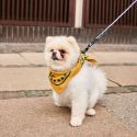 HAY Dog Scarf