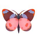 3D Bellissima Butterfly 