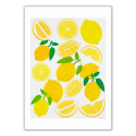 East End Lemon Harvest A3 Print