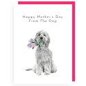 From the Dog Mother's Day Card