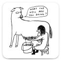 David Shrigley What The Hell Coaster