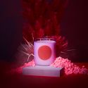 WXY Disco Candle - Orris Root & Amber
