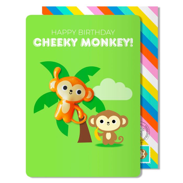 Cheeky Monkey Birthday Magnet Card
