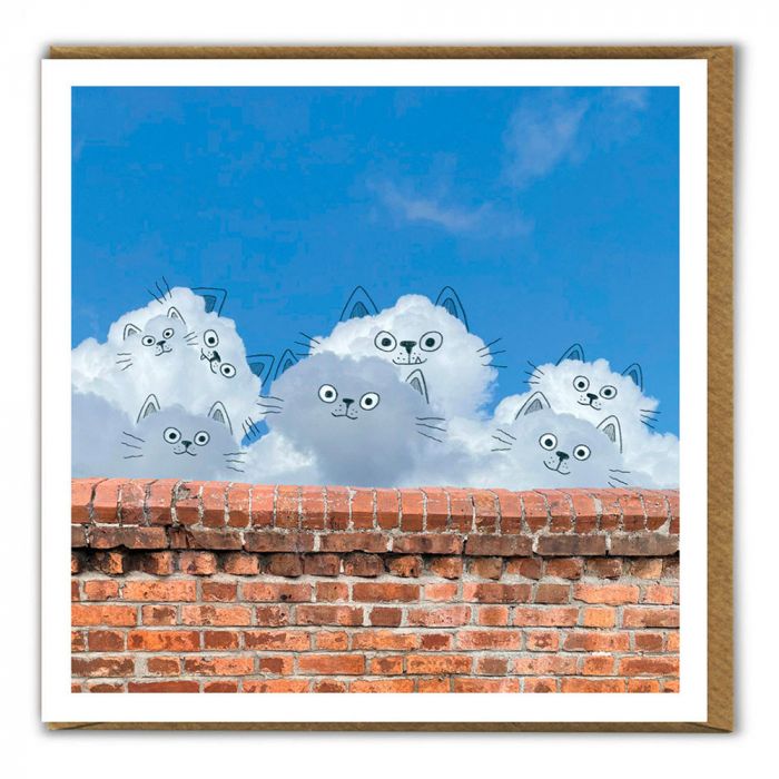 Funny Cats Cloud Card