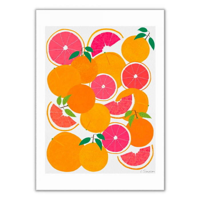 East End Grapefruit Harvest A3 Print