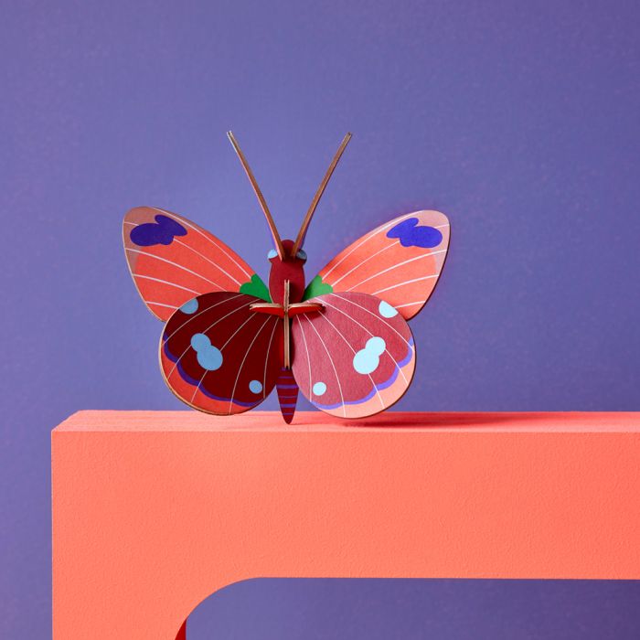 3D Delias Butterfly