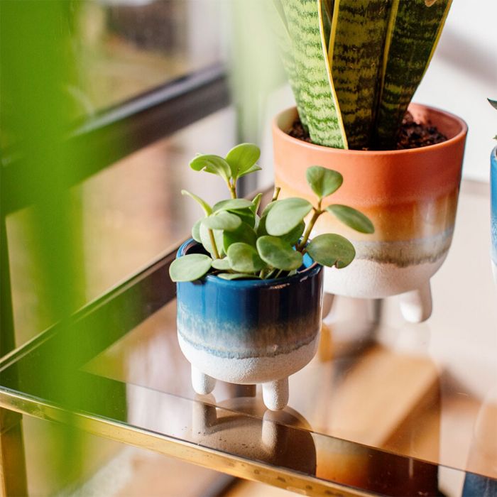 Sass & Belle Bohemian Style Home Decor Accessory Blue Rustic Ombre Mini Planter 
