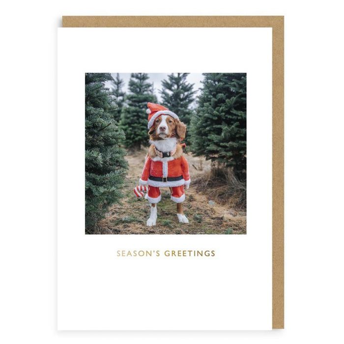 Maple Santa Christmas Card