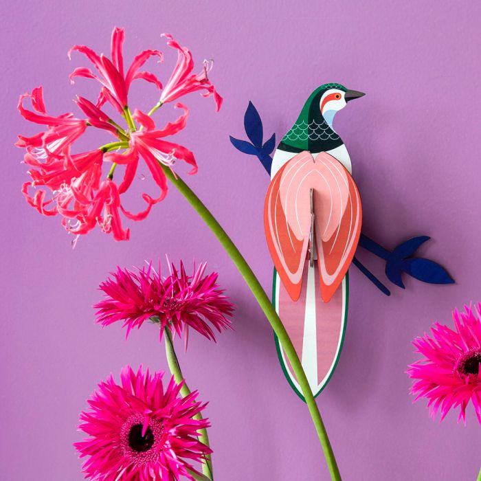 3D Paradise Bird, Rani