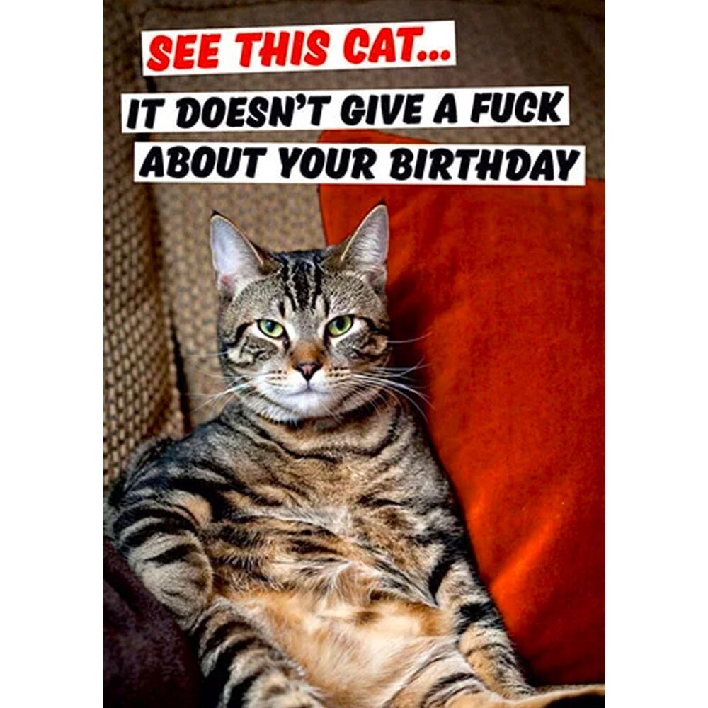 See This Cat... Card - Utility Gift