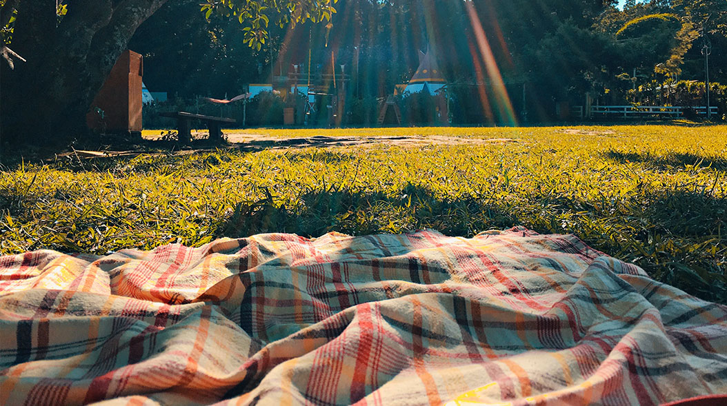 How To Have The Perfect Picnic